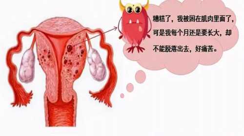 广州代孕产子公司官网网站|泰国试管婴儿全过程做试管婴儿有哪些步骤