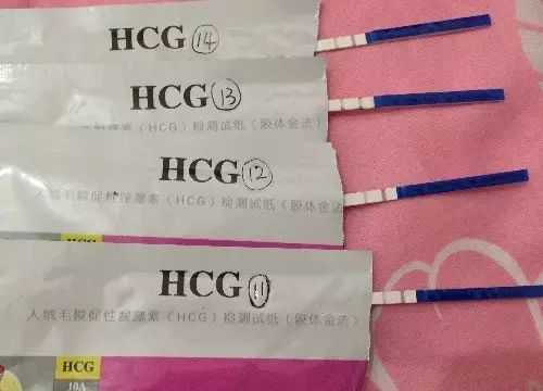 广州助孕中心价格 广州试管多少钱一次 ‘做彩超时怎么看男女’