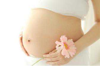 2023武汉市试管代怀生子机构排名，附试管助孕机构名单！-胚胎移植