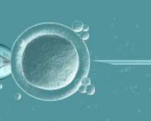 温州医院可以供卵 2022年单身女性在温州做试管婴儿能用供精吗？深度解析国内
