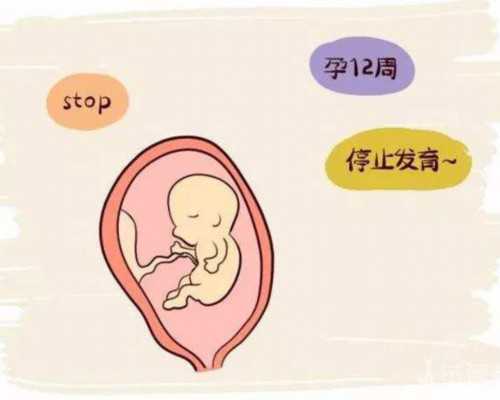 广州供卵有哪些,广州试管婴儿：取卵前后注意事项11项_医院供卵是冻卵吗_怎么