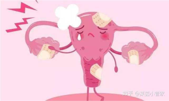 广州治疗输卵管的大夫,广州供卵成功率