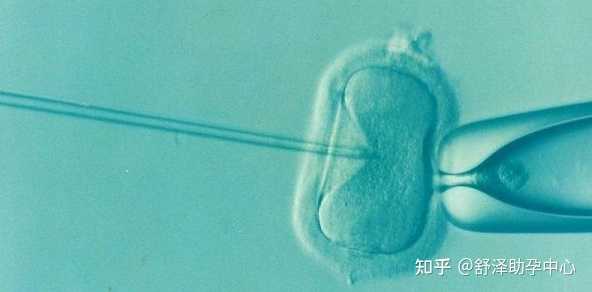 广州中山医院试管婴儿，广州试管婴儿哪家好,广州中山六院和广三做试管婴儿