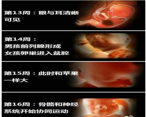 广州代孕中心价格_广州专业代孕公司【2020年代生