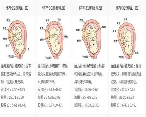 广州试管婴儿:为什么怀孕会头晕想吐