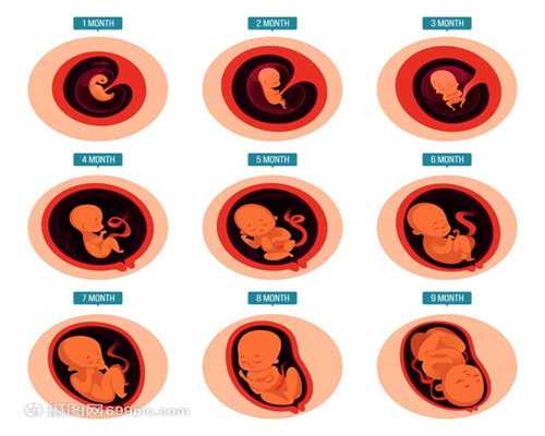 广州供卵代生机构:验孕棒什么时候用 怀孕多长时