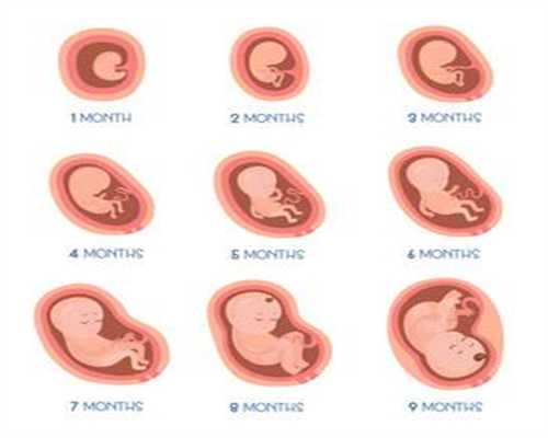 广州供卵代生机构:验孕棒什么时候用 怀孕多长时