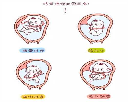 广州代生孩子中介:广州正规代怀孕费用:广州哪里