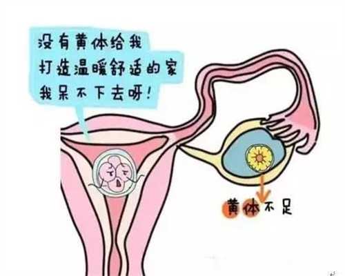 广州哪里代怀孕最好:广州代怀孕三甲医院:广州代