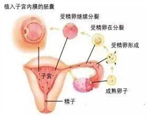 广州代孕中介靠谱吗:孕妇产前训练能练哪些动作