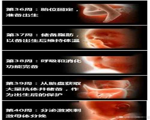 广州正规代怀孕费用:3个月胎盘低置是什么原因造