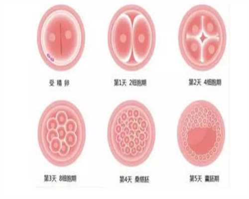 广州代孕取卵子过程:广州代生孩子全包:孕妇吸到