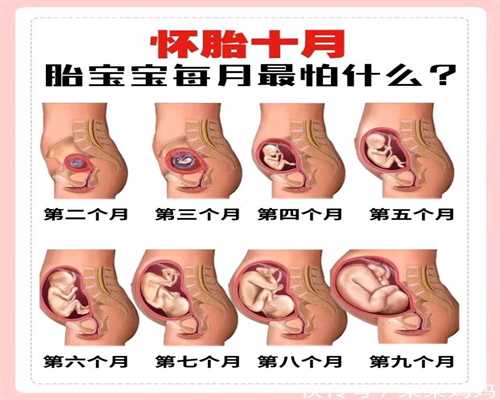 广州代孕中介哪家好:无痛人流在怀孕多久做最好