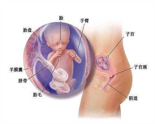 广州代孕中介哪家好:无痛人流在怀孕多久做最好
