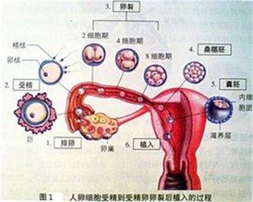 广州如何借腹生子:9个月孕妇腰酸怎么办