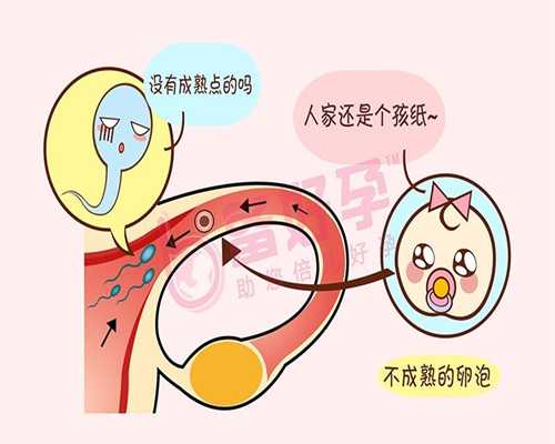 广州怎样代孕才合法:怀孕后多久可以过性生活