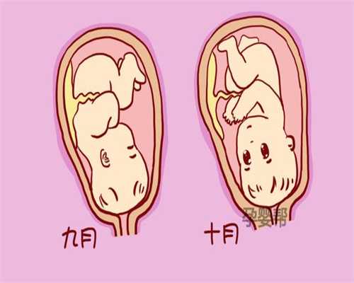 广州代生小孩过程:孕妇胃胀气可以吃蛋糕吗