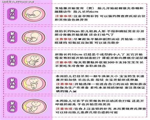 广州哪个医院能代孕:羊水破了肚子会不会变小