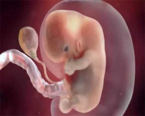 广州代怀孕妈妈招聘:美国试管婴儿移植3天胚胎好还是5天囊胚好