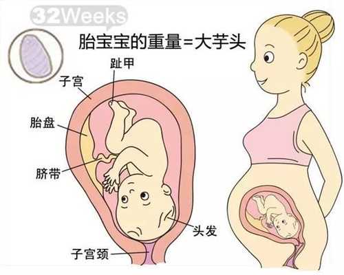 <b>广州找人代生孩子群:俄罗斯不孕症疾病的夫妻可以做试管婴儿？</b>