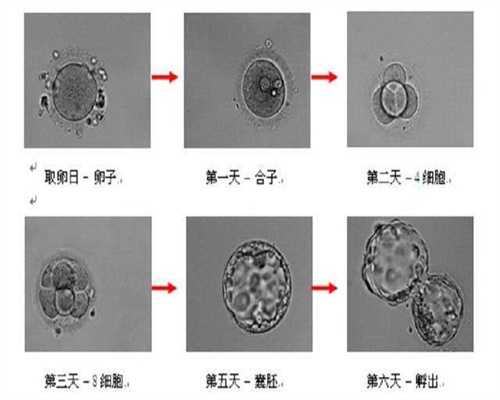 广州代孕哪里最好_广州找个代孕的_天赐宝贝助孕：输卵管堵塞的药物4