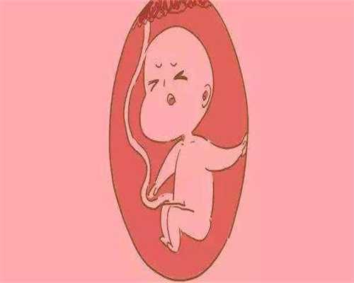 广州借腹生子过程试管婴儿_广州代孕要多少价钱_代孕成功率：什么情况下做心