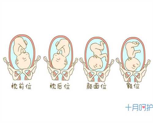 广州代孕费用批量查询_广州怎样求代孕_国内正规的助孕公司：孕中期胎停原因