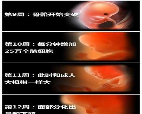广州可靠的助孕机构有哪些_广州代孕试管成功率_圆梦助孕：1631326266467
