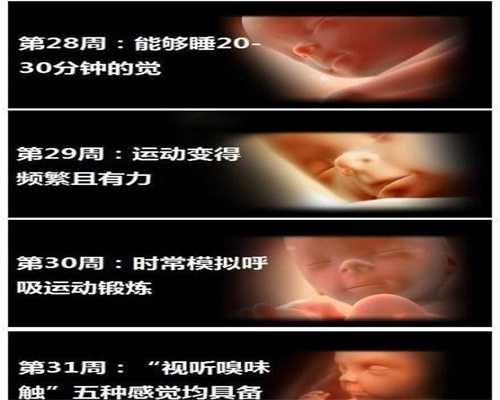 广州代孕一般价钱_广州男子50万找代孕_好孕国际助孕：1631343869985