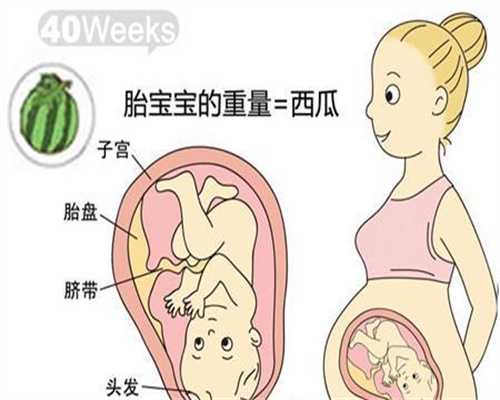 广州做试管多少钱_广州子宫切除代孕_上海坤和助孕中心：宝宝能不能吃虾皮