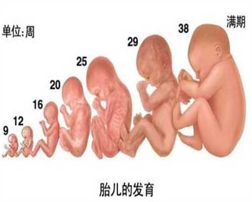 广州代孕中心_广州代孕包成功哪家便宜_爱维爱夫试管婴儿：孕妇多和宝宝“交