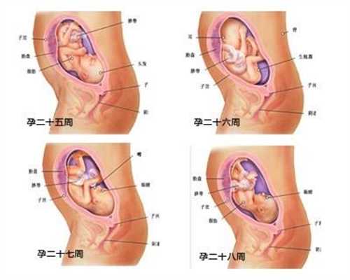 广州在哪可以找到代孕的_广州想找人代孕女_唐雪助孕中心官网：怀孕八个月怎