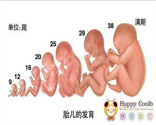 广州找代孕是真是假_广州代孕费一般是多少_有喜国际助孕：子宫内膜异位症患