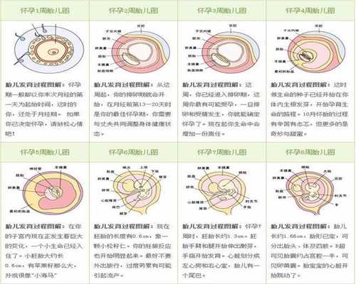 广州代孕医院有几家_广州代孕电话多少_上海世纪孕妈招聘：二胎上户口需要什