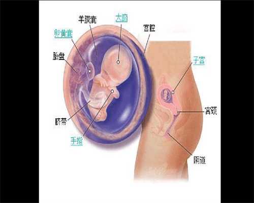 广州找人借腹生子代生孩子_广州代孕选男女费用_代孕哪里好：五个月宝宝辅食