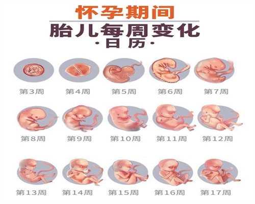 广州如何做代孕手术_广州试管孕包成功费用_孕中无忧公司收费：新生儿能吃蒙