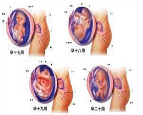 广州哪地方代孕权威_广州找个女人代孕生孩子_广州试管婴儿助孕：6个月的时候
