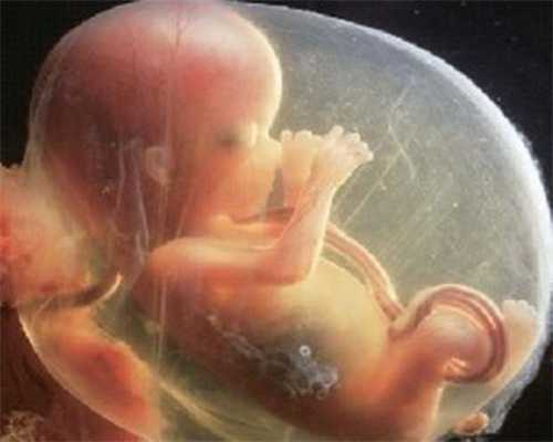 广州代怀孕最靠谱:怀孕后测排卵显示什么