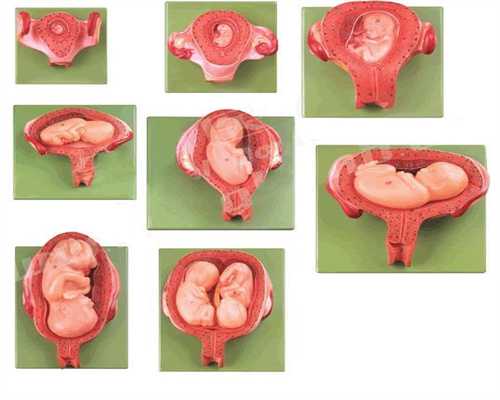 广州代怀孕口碑好:慢性宫颈炎能否自愈？应该如何治疗？