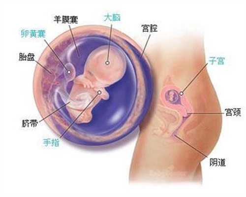 广州现在人工试管代孕多少钱呀_广州代孕合同怎么写