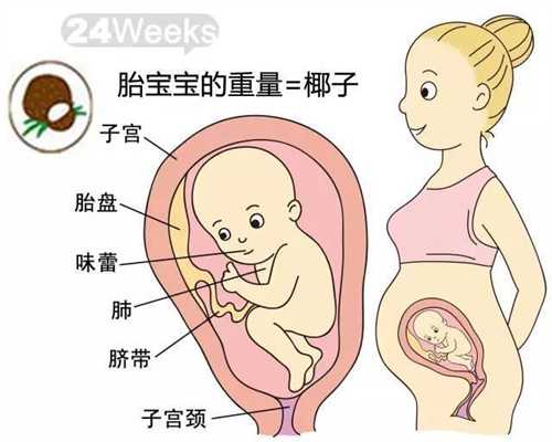广州我需要找个代孕妈妈_广州做代孕的步骤