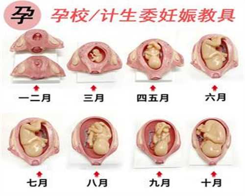 广州代孕需要自己的卵子吗_广州试管代孕的优势