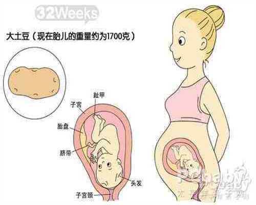 广州代孕地址_广州试管婴儿助孕包成功