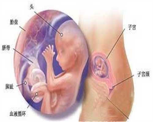 广州试管婴儿哪家好_广州试管婴儿专科医院
