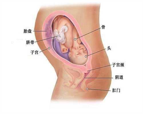 广州代孕怎么样_广州服务好的助孕