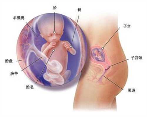 广州试管婴儿咨询_广州供卵代孕