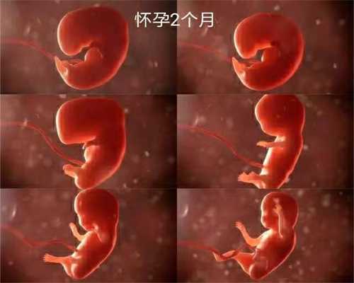 广州借腹生子的法律后果_广州有几家做试管婴儿