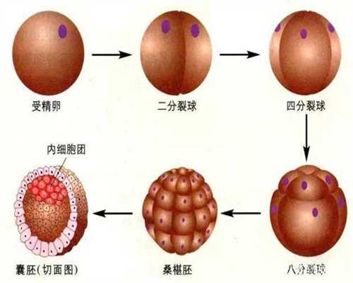 广州哪个医院有供卵_供卵自怀关爱广州坤和_孕妈甲沟炎化脓影响走路 专家提醒