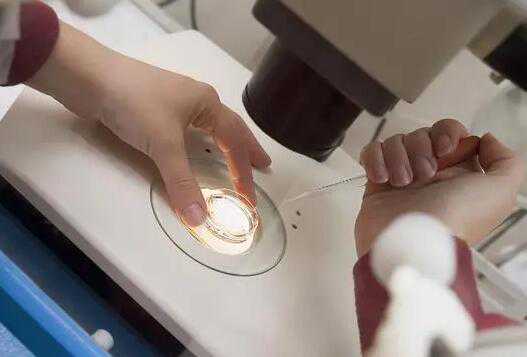 广州供卵不用等的医院 广州做试管婴儿的步骤 ‘女的梅毒的早期症状图片’
