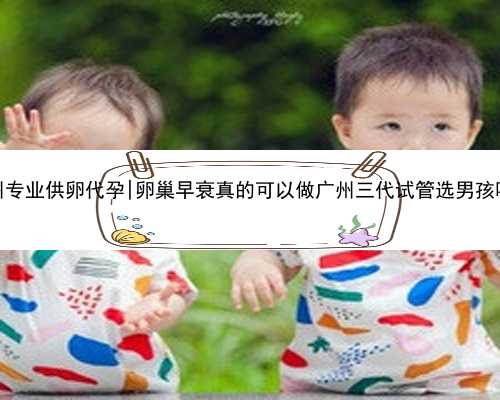 广州专业供卵代孕|卵巢早衰真的可以做广州三代试管选男孩吗？